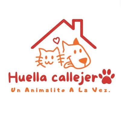 Proyecto