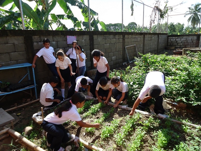 EcoHuerto Escolar